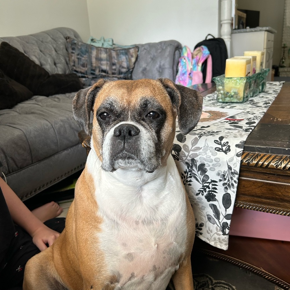 Meet your Posher, Oana